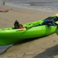 Sea Kayak Georgia